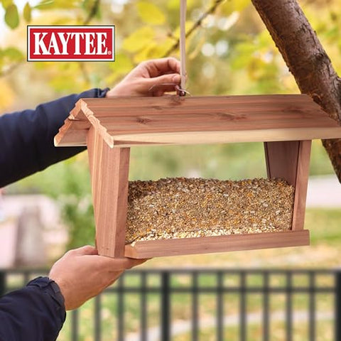 Kaytee sunflower hearts and chips satisfy urban birds at balcony feeders.