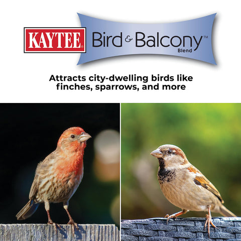 Kaytee Bird & Balcony Blend promotes easier birdwatching by offering steady nutritious food.