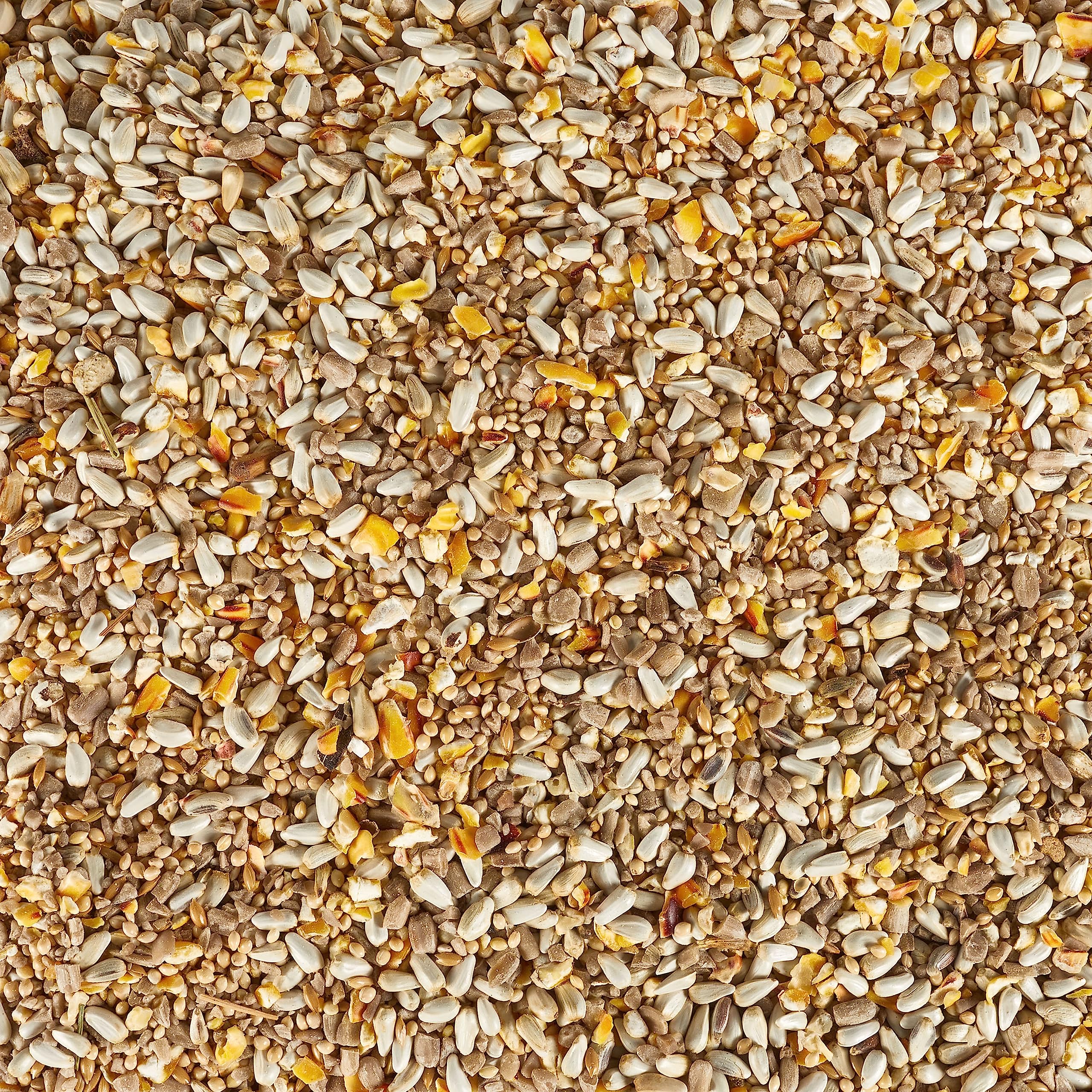 Kaytee Bird & Balcony Blend features sunflowers; ideal for sparrows and mourning doves.