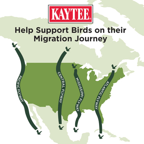 Birds feeding on a Kaytee feeder with Spring Migration blend