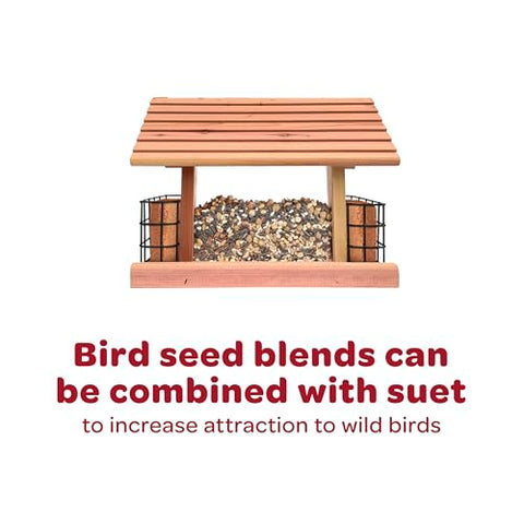 All-season feeding appeal for cardinals and songbirds.