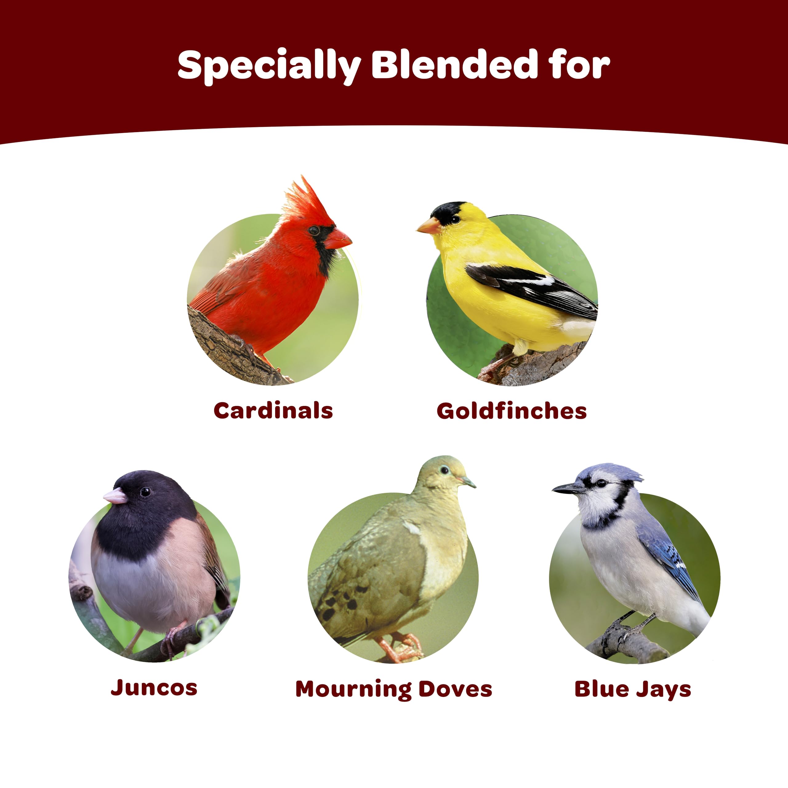 Close-up of seeds in Kaytee Cardinal Seed Cake attracts cardinals and other songbirds.