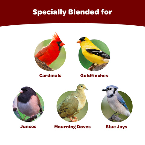 Close-up of seeds in Kaytee Cardinal Seed Cake attracts cardinals and other songbirds.