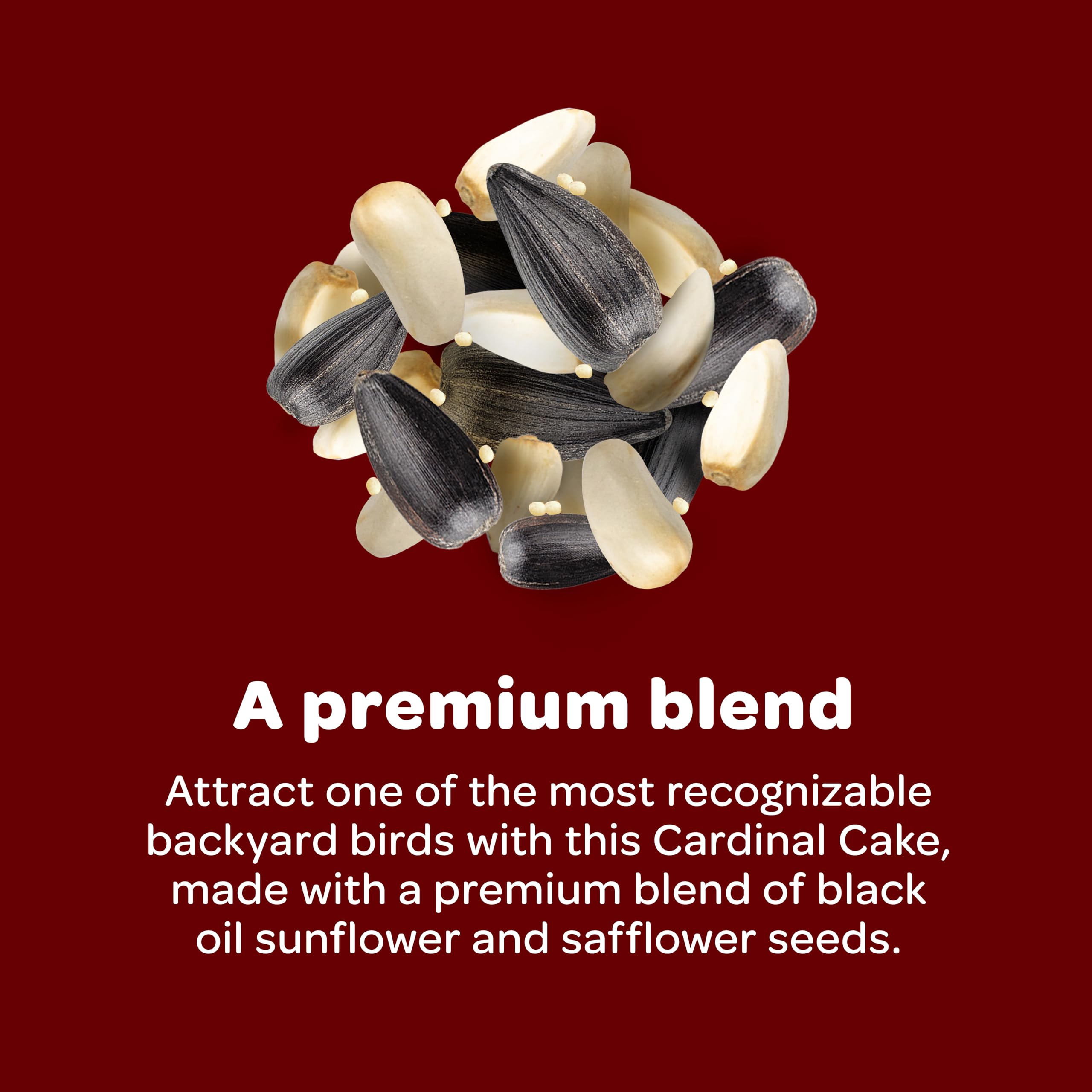 Texture close-up on Kaytee Cardinal Seed Cake showing compact, long-lasting feeding form.