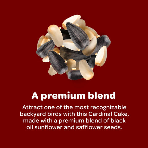 Texture close-up on Kaytee Cardinal Seed Cake showing compact, long-lasting feeding form.