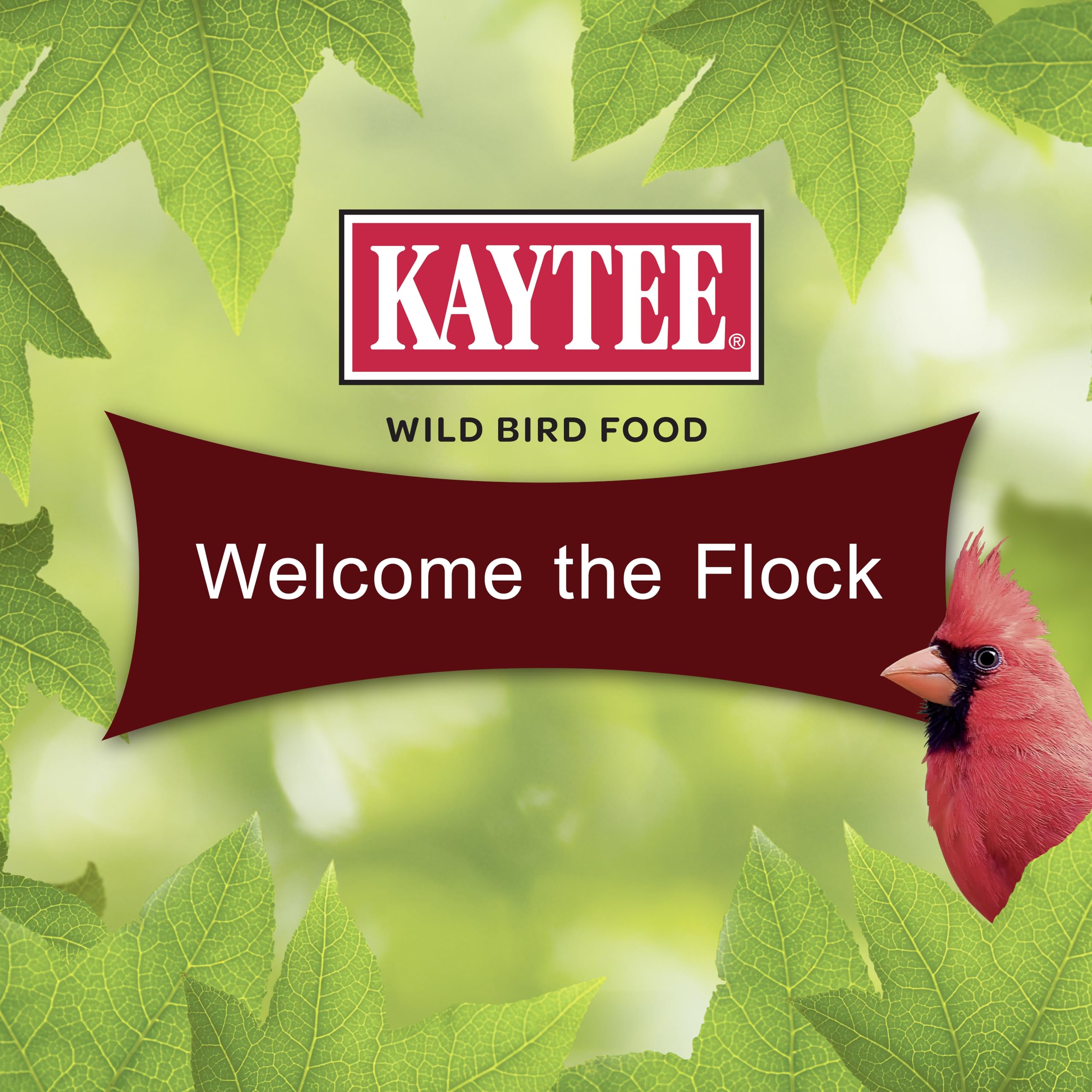 Cardinals feeding in a sunny yard featuring Kaytee Cardinal Seed Cake.