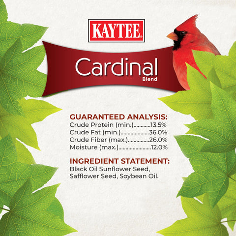 Kaytee Cardinal Wild Bird Seed safflower seeds closeup emphasizes bitter flavor that helps deter squirrels.