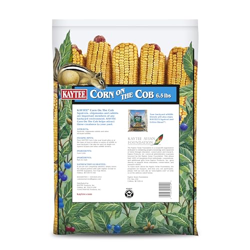 Backyard wildlife oasis features Kaytee Corn on the Cob attracting visitors.