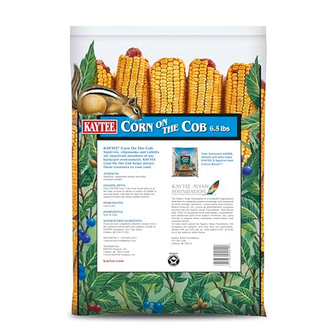 Backyard wildlife oasis features Kaytee Corn on the Cob attracting visitors.