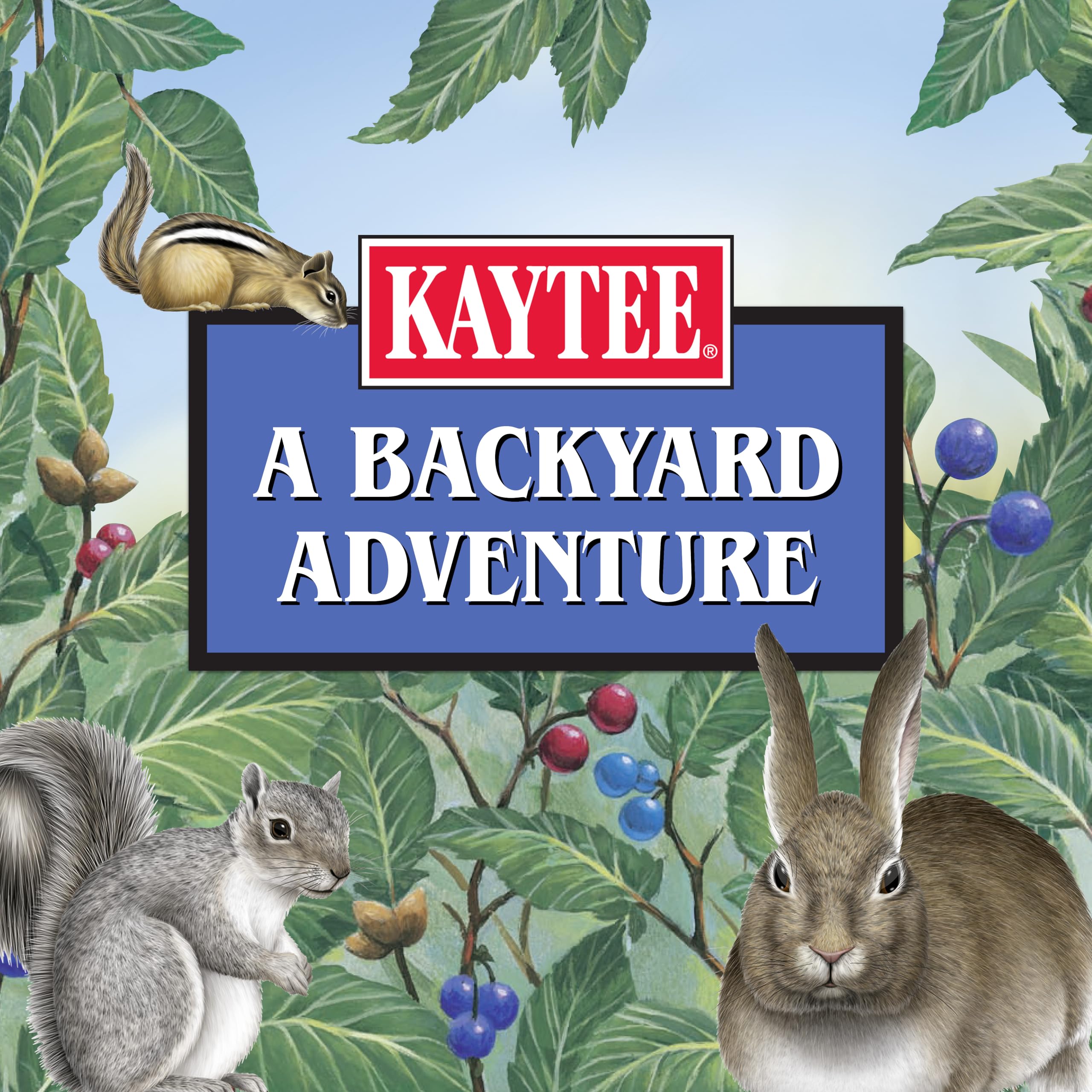 Kaytee Corn on the Cob placed in a tray feeder for easy access.