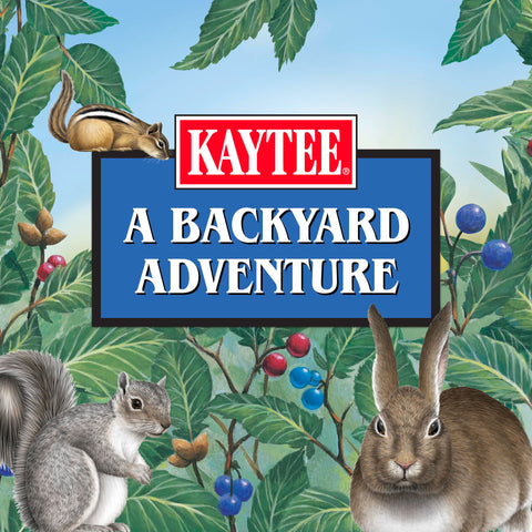 Kaytee Corn on the Cob placed in a tray feeder for easy access.