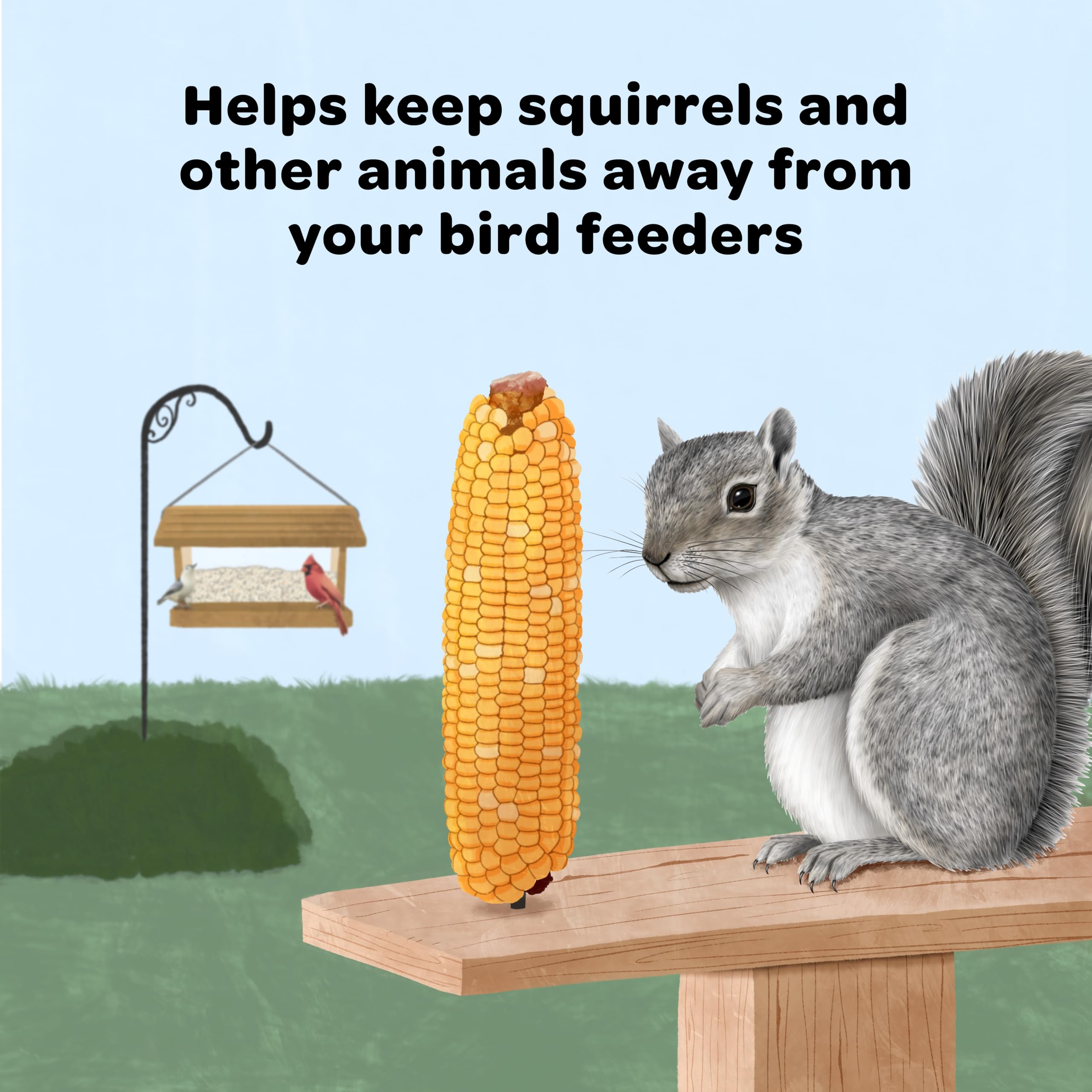 Squirrels feeding on Kaytee Corn on the Cob in a natural yard scene.