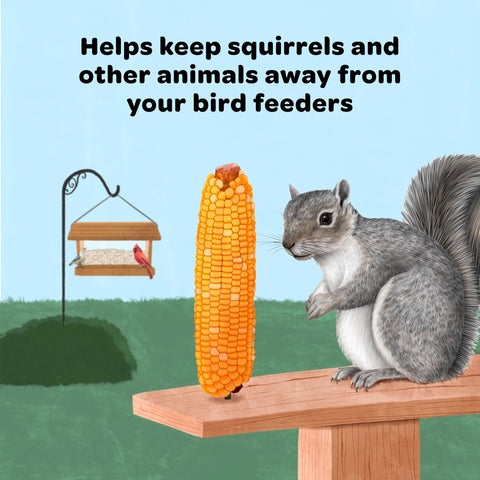 Squirrels feeding on Kaytee Corn on the Cob in a natural yard scene.