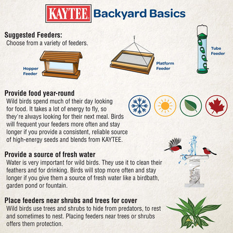 Easy-clean design of Kaytee feeder simplifies post-birdwatch maintenance.