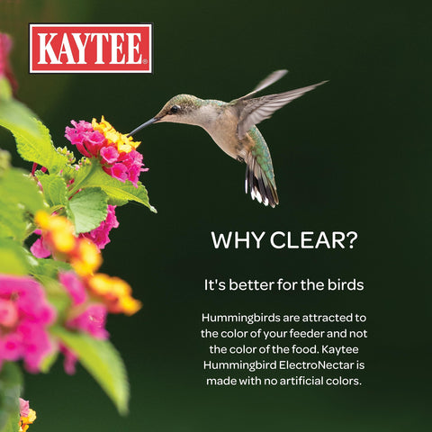 Kaytee ElectroNectar mix in water for ready-to-serve nectar.