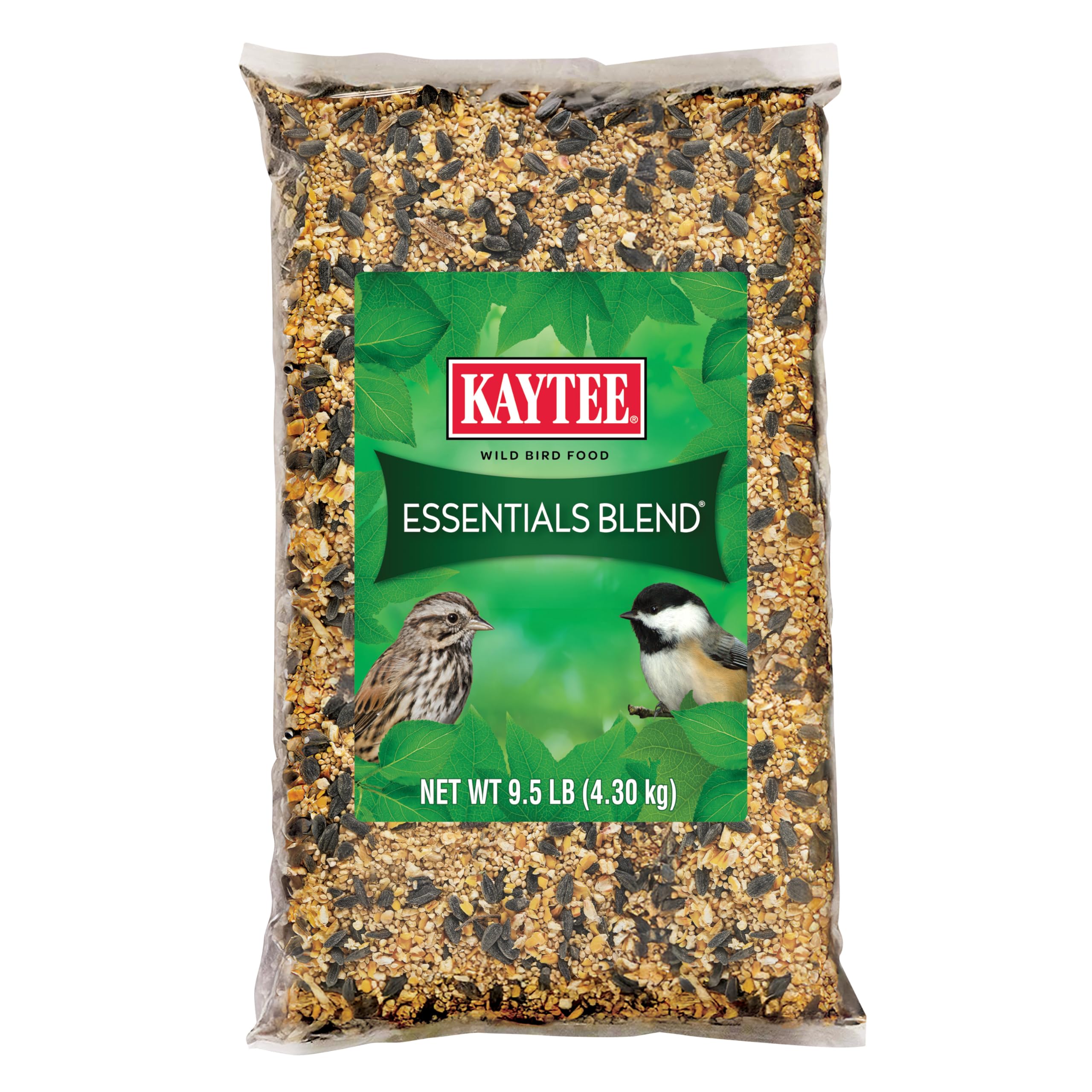 Kaytee Essentials Blend being poured into a feeder to invite diverse backyard birds