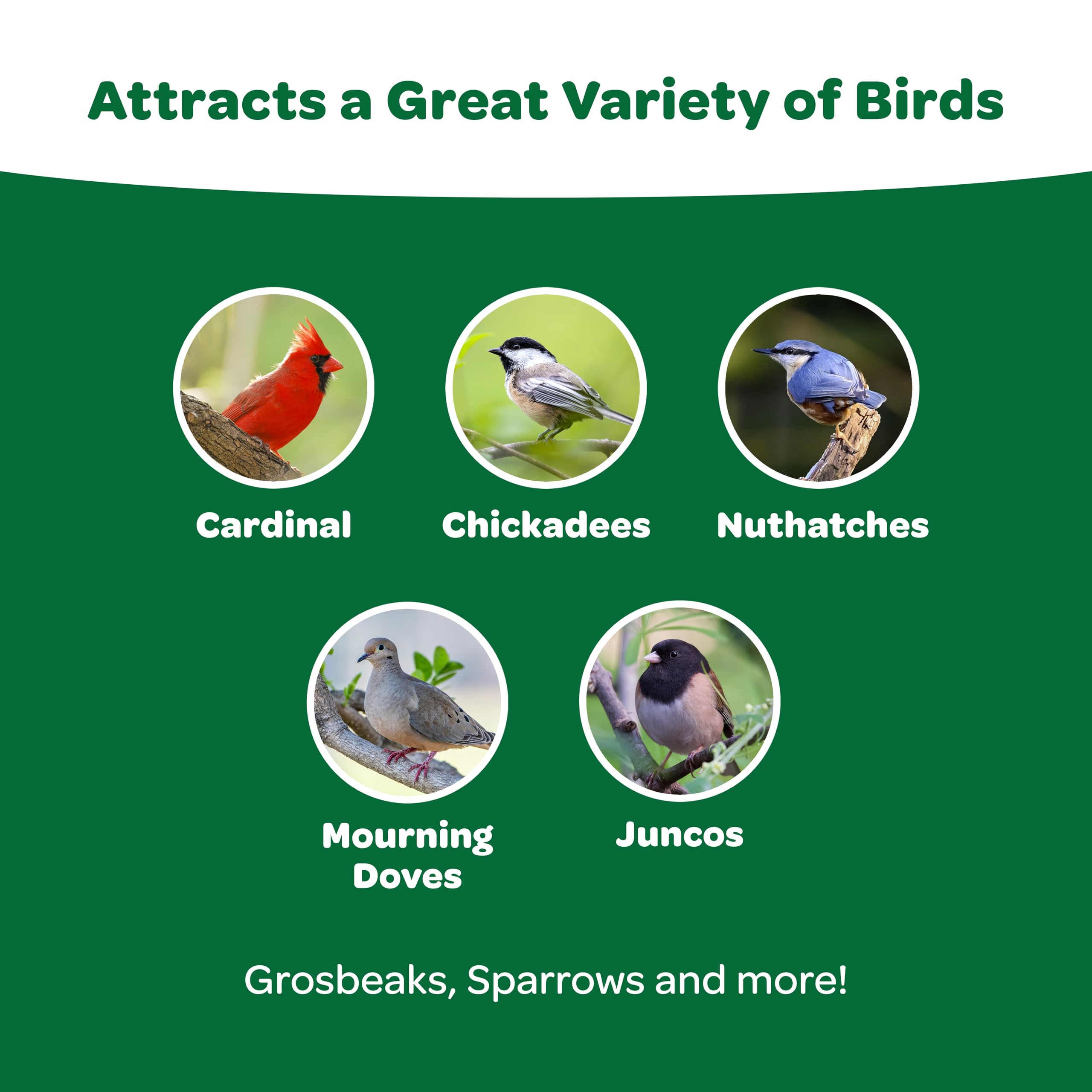 Kaytee Essentials Blend attracts cardinals and chickadees to the feeder