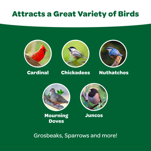 Kaytee Essentials Blend attracts cardinals and chickadees to the feeder