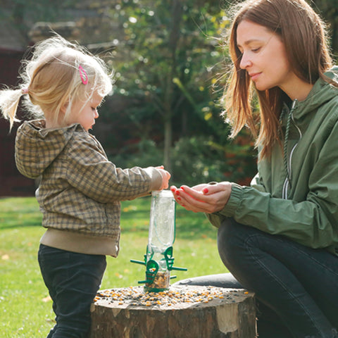 Kaytee Essentials Blend attracting sparrows and jays to a busy feeder
