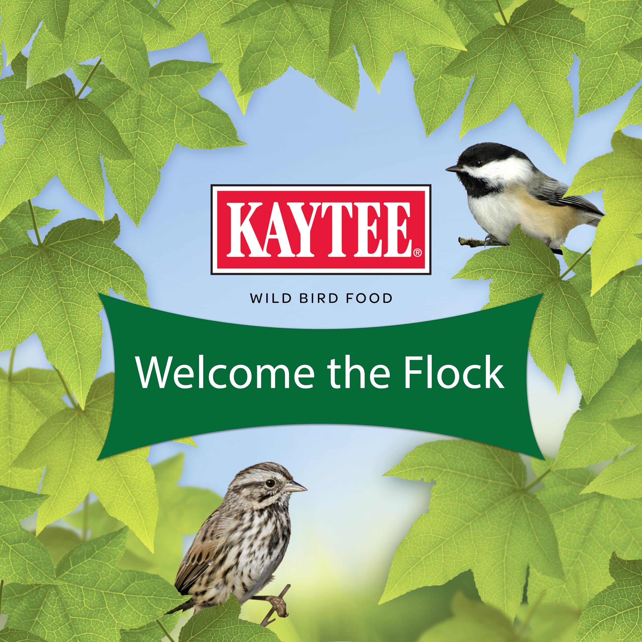 Kaytee Essentials Blend drawing woodpeckers to a high-visibility feeding area