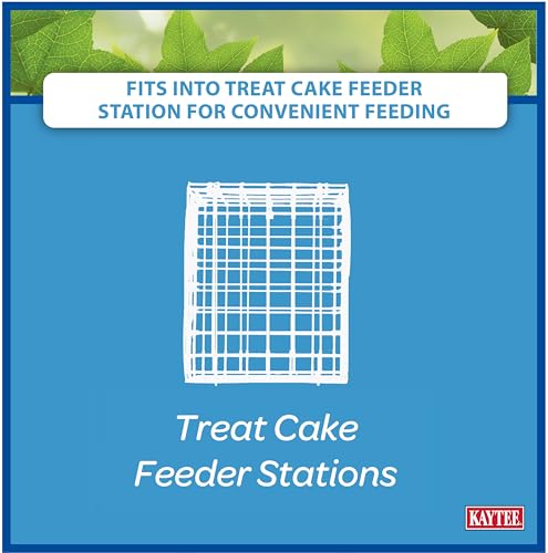 Kaytee Gourmet Seed Cake captures a busy mix of visitors, seasonal energy for feathered friends.