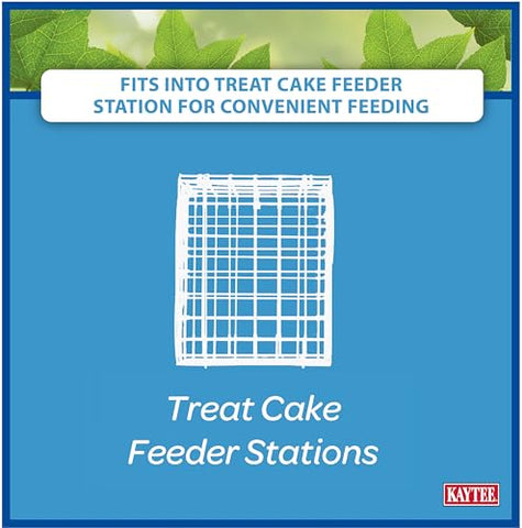 Kaytee Gourmet Seed Cake captures a busy mix of visitors, seasonal energy for feathered friends.