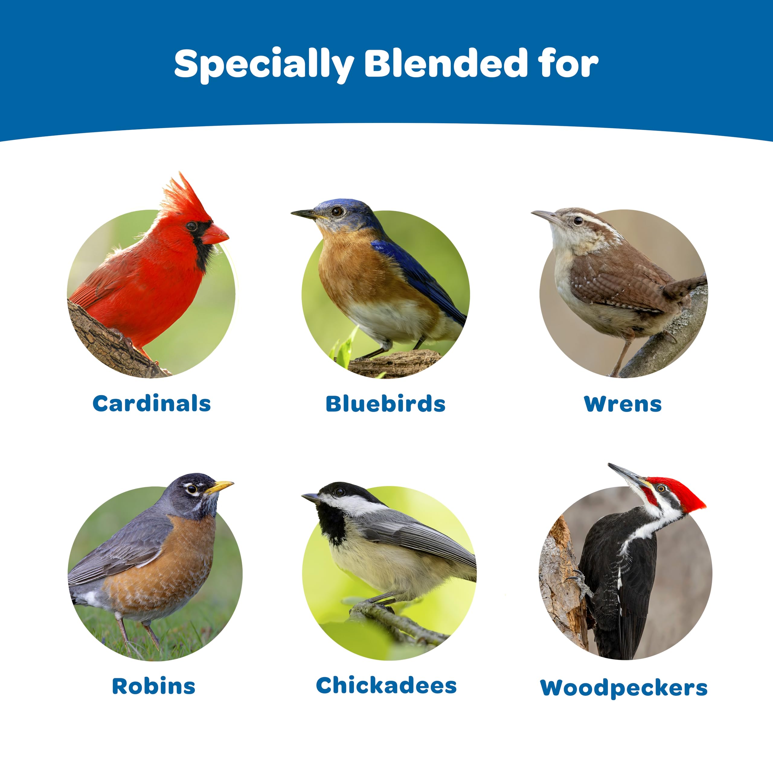 Kaytee Gourmet Seed Cake with chickadees on feeder, a convenient, mess reducing treat.