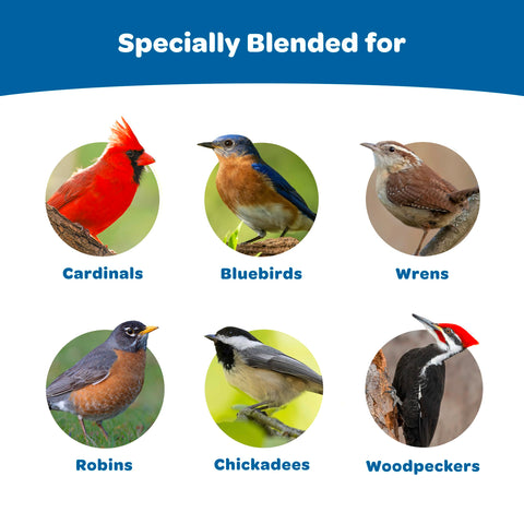 Kaytee Gourmet Seed Cake with chickadees on feeder, a convenient, mess reducing treat.