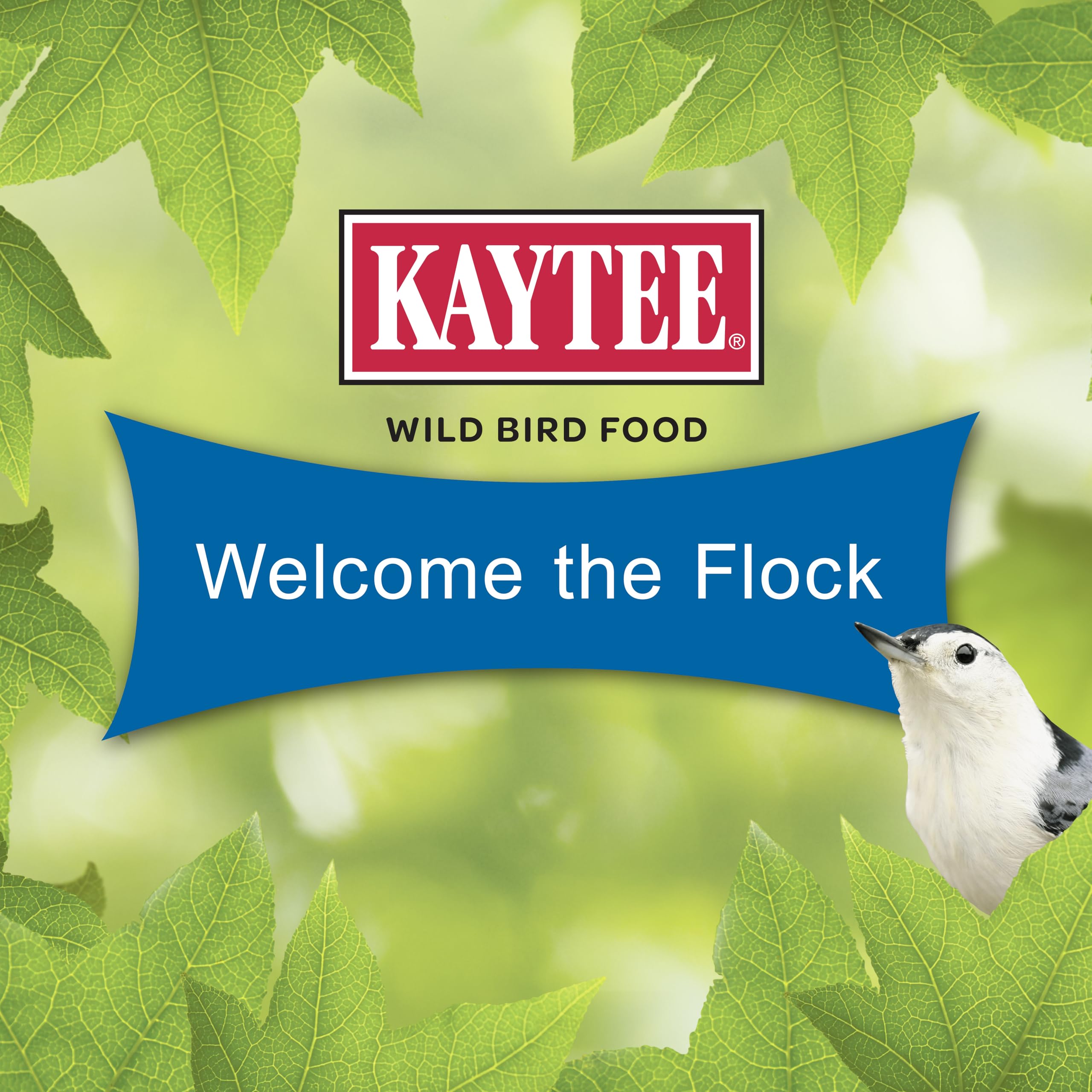 Kaytee Gourmet Seed Cake lures nuthatches to your yard with dependable energy.