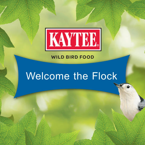 Kaytee Gourmet Seed Cake lures nuthatches to your yard with dependable energy.