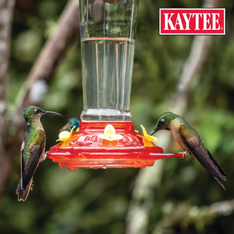 Kaytee ElectroNectar simplifies hummingbird feeder setup for fast serves.