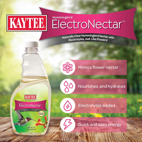 Kaytee ElectroNectar fuels hummingbird rapid wingbeats with electrolytes.
