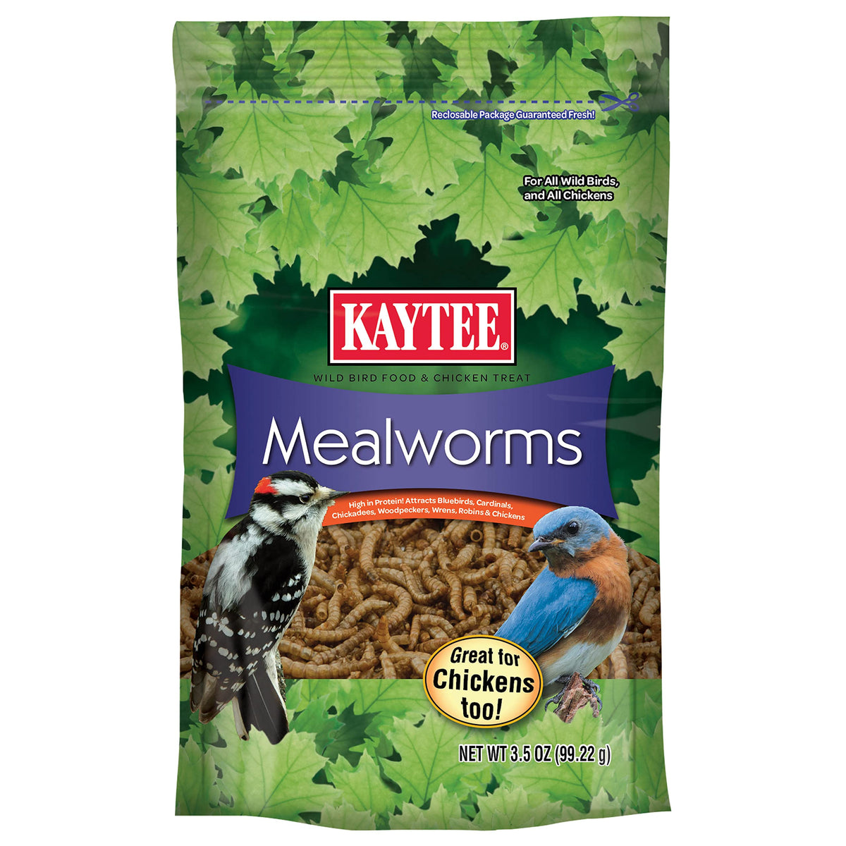 Kaytee Meal Worm Wild Bird Food packaging in a 3.5 oz bag for easy storage and feeding.