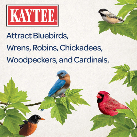 Kaytee Meal Worm Wild Bird Food attracts bluebirds on a branch.