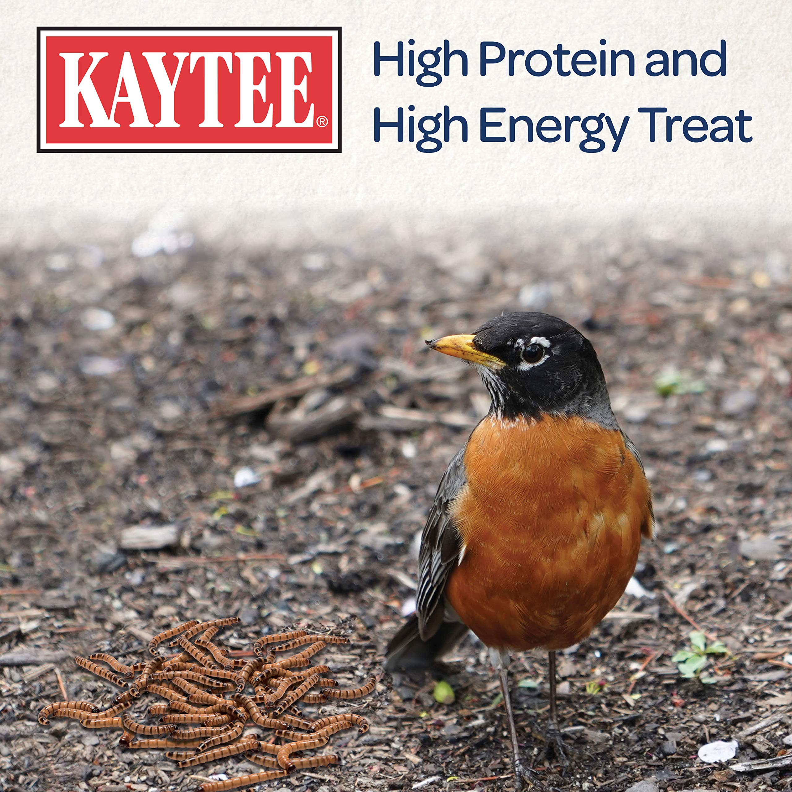 Kaytee Meal Worm Wild Bird Food supports nestlings during breeding seasons.