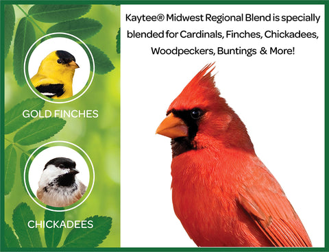 Kaytee Midwestern Regional Seed Blend welcomes Downy Woodpeckers to the feeder with a hearty seed mix