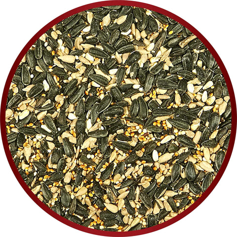 Kaytee Midwestern Regional Seed Blend supports year-round bird feeding with Midwest favorites