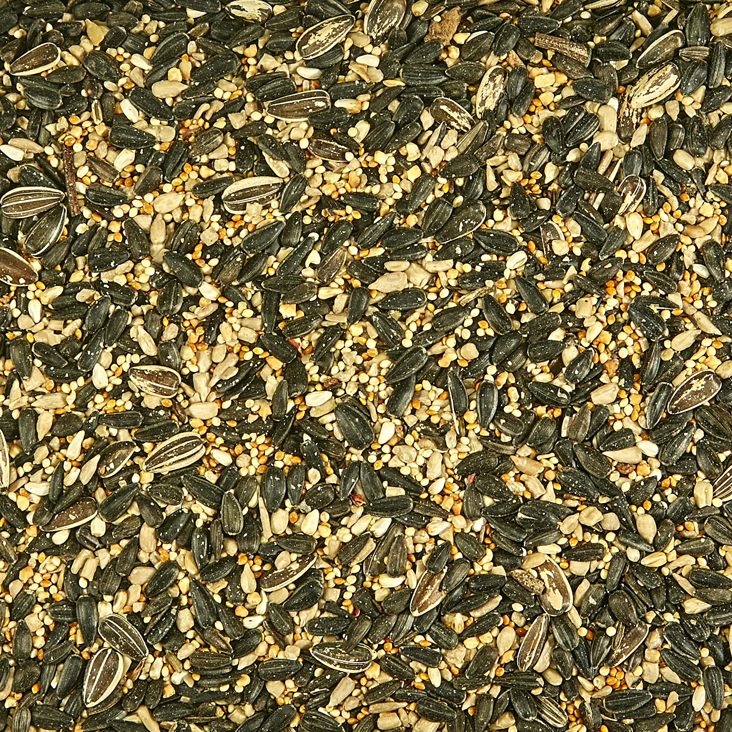 Kaytee bag label close-up highlights regional blend for birds