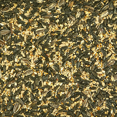 Kaytee bag label close-up highlights regional blend for birds