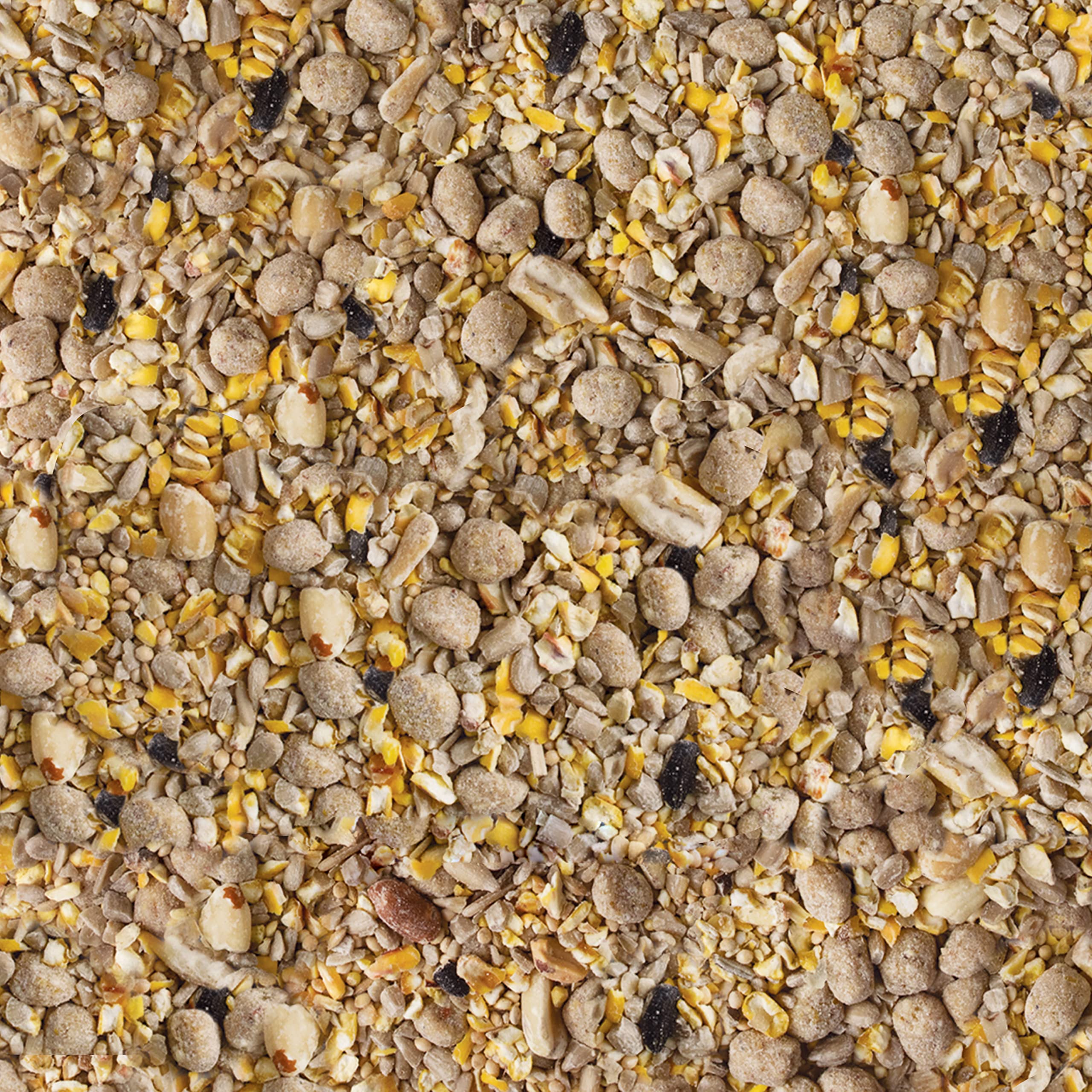Kaytee Seed & Suet No Mess Blueberry woodpecker visits with this mix.