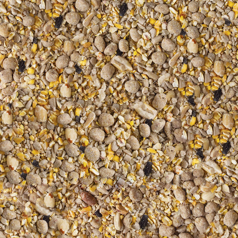 Kaytee Seed & Suet No Mess Blueberry woodpecker visits with this mix.