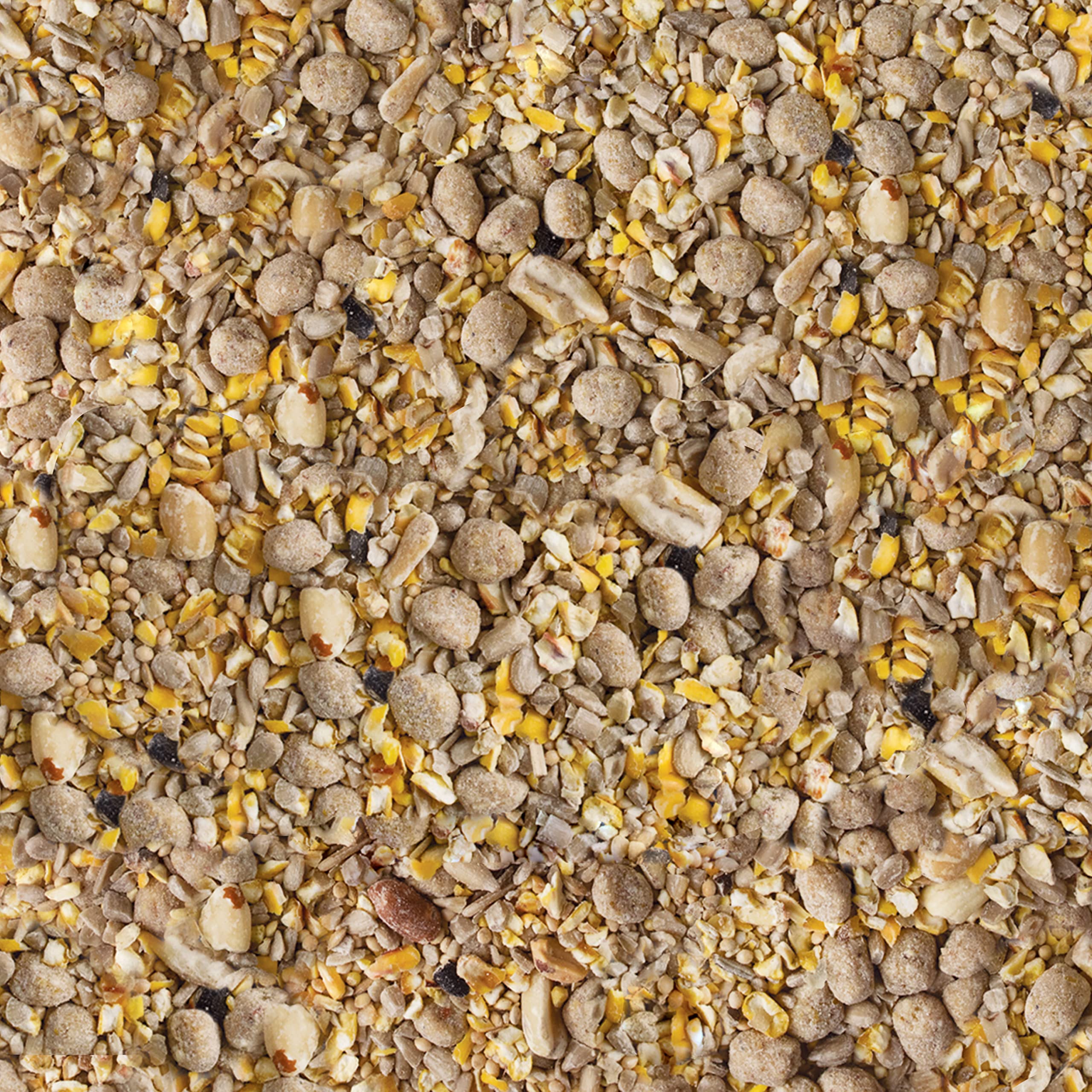 Kaytee No Mess seed and suet nuggets attract backyard songbirds