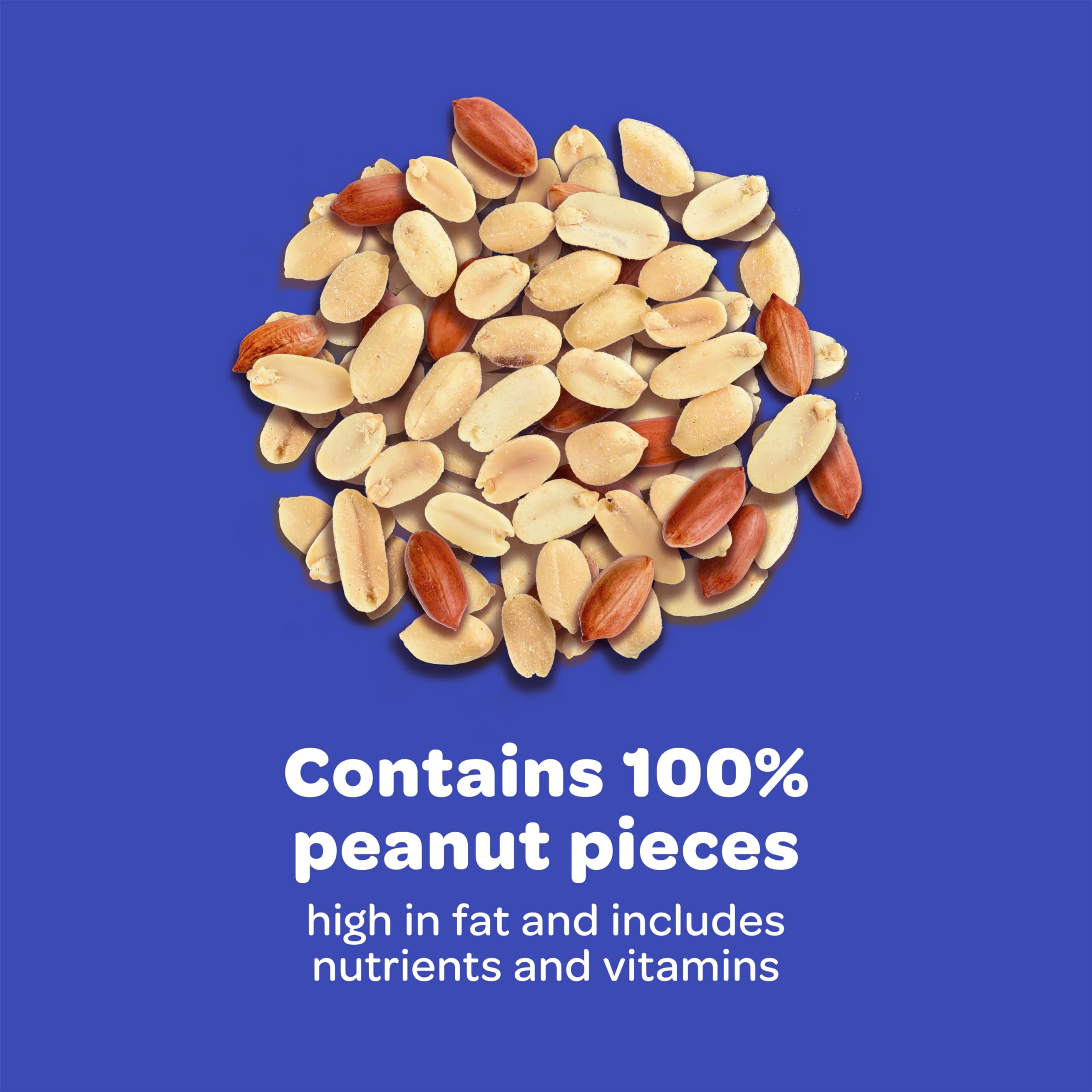 Kaytee Shelled Peanuts invite indigo buntings with rich texture and flavor.