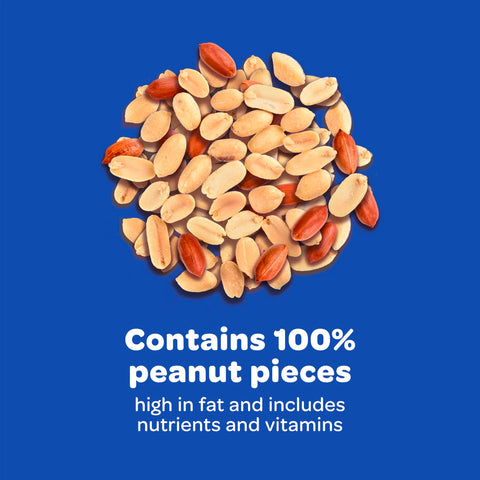 Kaytee Shelled Peanuts invite indigo buntings with rich texture and flavor.