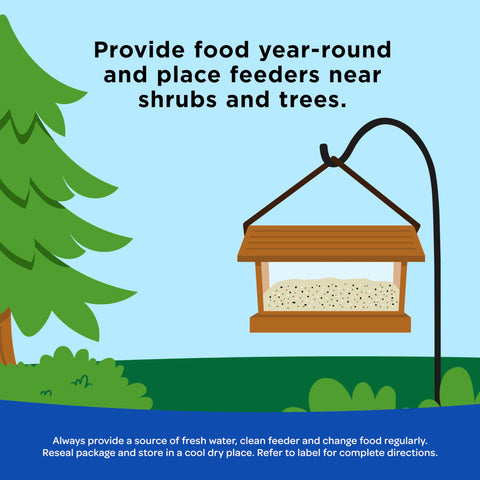 Kaytee Shelled Peanuts lure towhees to the feeding station in your yard.