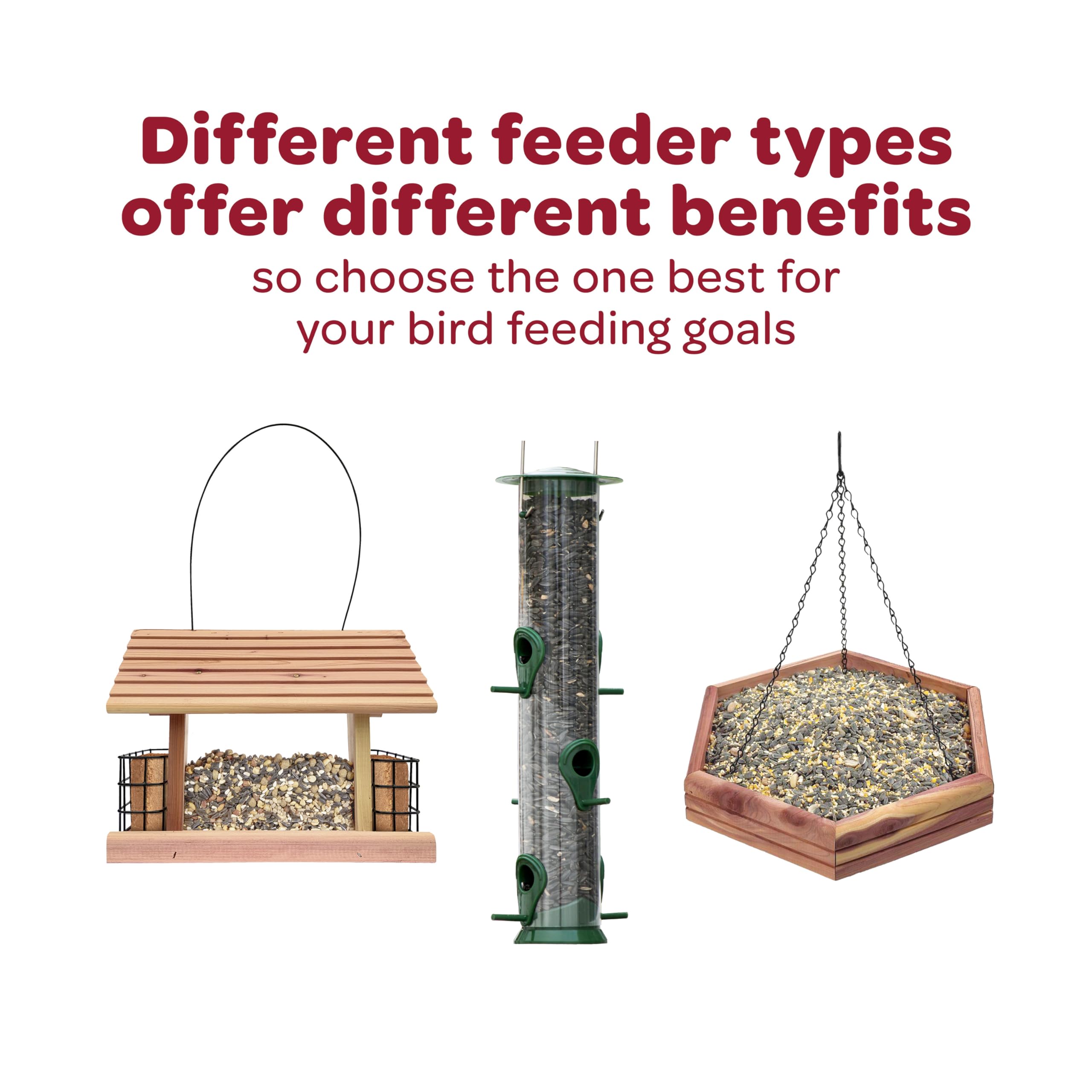 Kaytee Southern Regional Blend bird feeder setup; easy home use.
