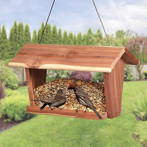 Kaytee Summer Nesting Seed Blend folded package on porch table.