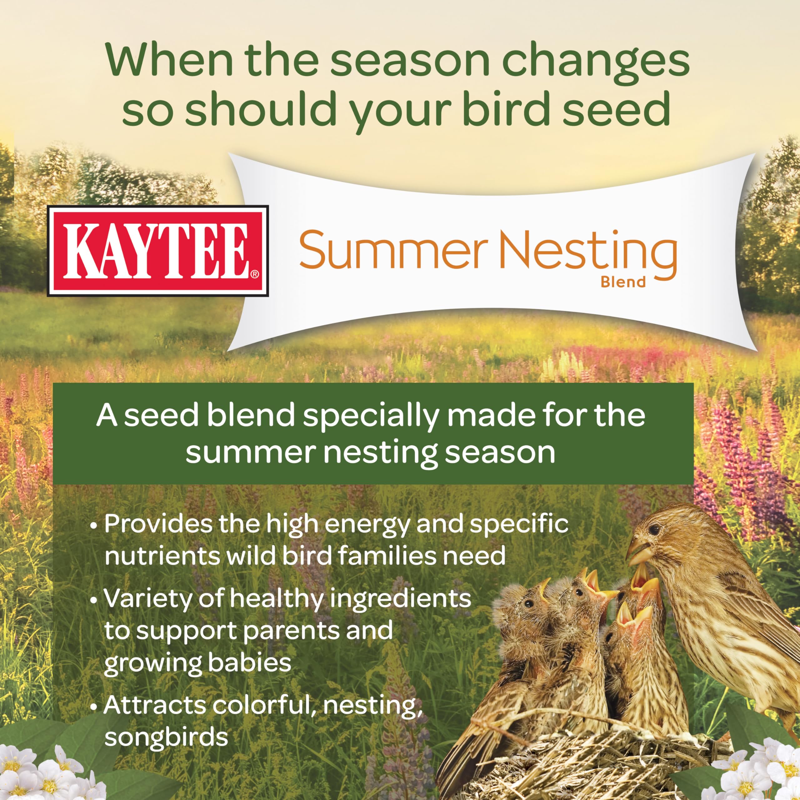 Kaytee Summer Nesting Seed Blend in feeder, showing variety attracts multiple species.