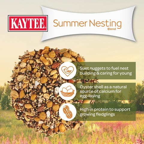 Kaytee Summer Nesting Seed Blend seeds and nuts mix highlighted in bowl.