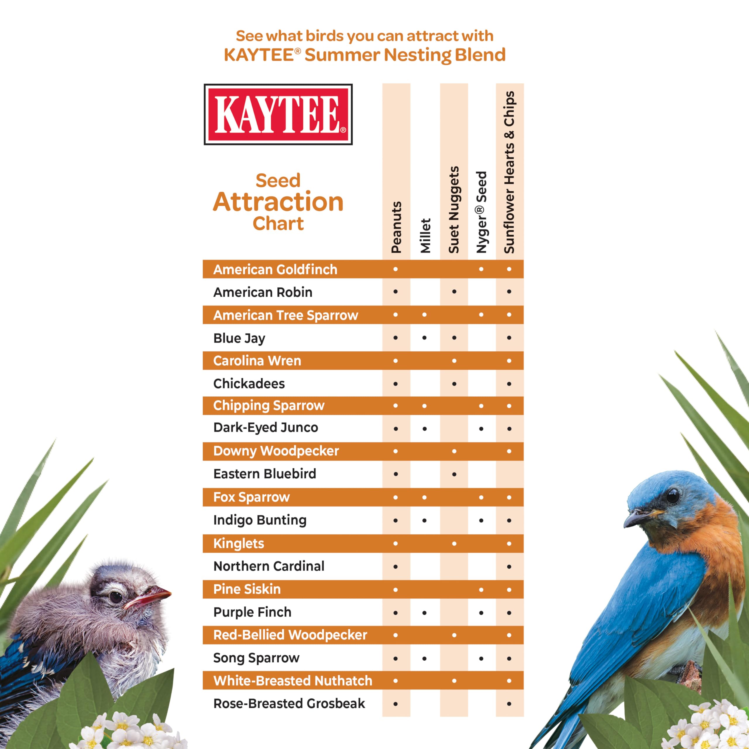 Kaytee Summer Nesting Seed Blend suet nuggets visible, providing energy for nest care.